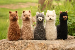 Alpacadorable Hand Made Baby Alpaca Ornament