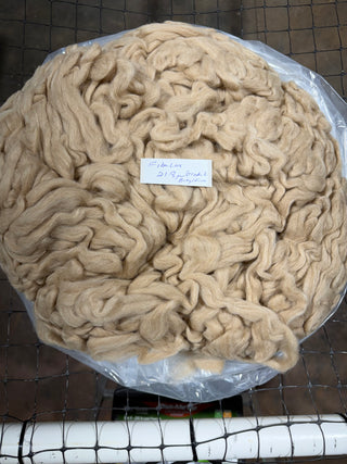Augustine Alpaca Roving — Fawn