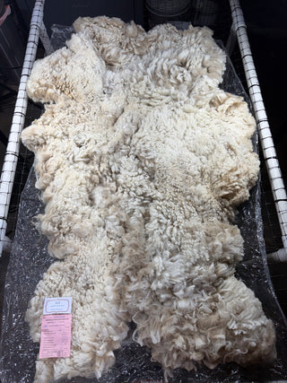 Heidi Raw Alpaca Fleece — White — 2024 — Heidi raw fleece blanket