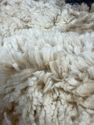Tito Raw Alpaca Fleece — Beige — 2025 — Tito close up raw fleece