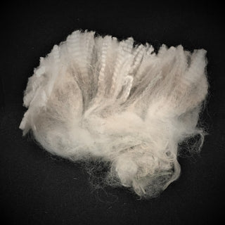 FIR Azlan's Elite Pearl