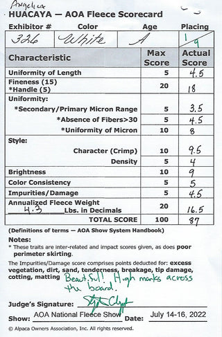 FIR Azlan's Elite Angelica