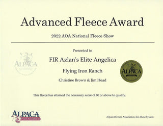 FIR Azlan's Elite Angelica