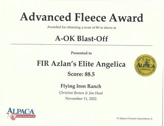 FIR Azlan's Elite Angelica