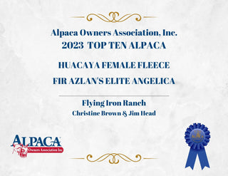 FIR Azlan's Elite Angelica