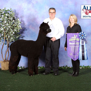 FIR Diamante's Jetson