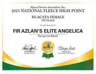 FIR Azlan's Elite Angelica