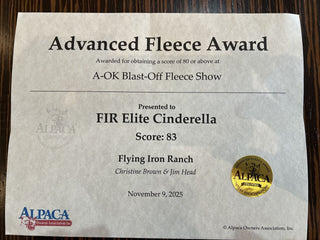 FIR Elite Cinderella