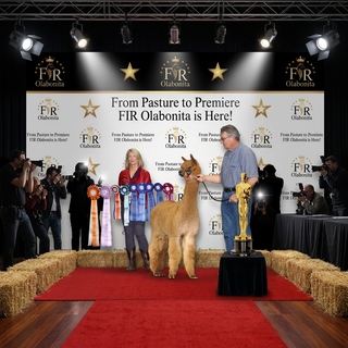 FIR Olabonita