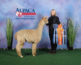 FIR Ruby by Avalanche